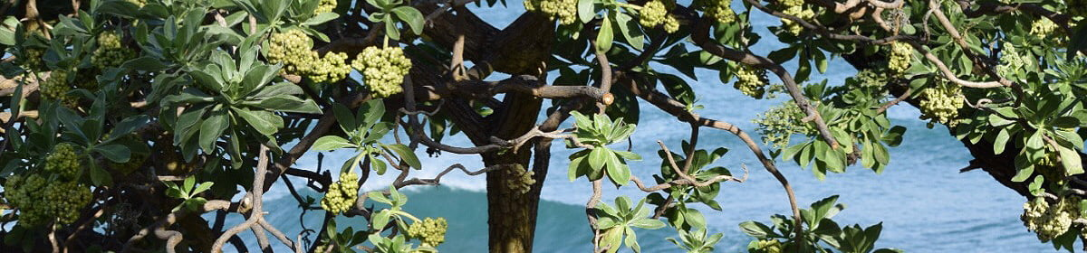 Welcome to Uncle Mark's Basement